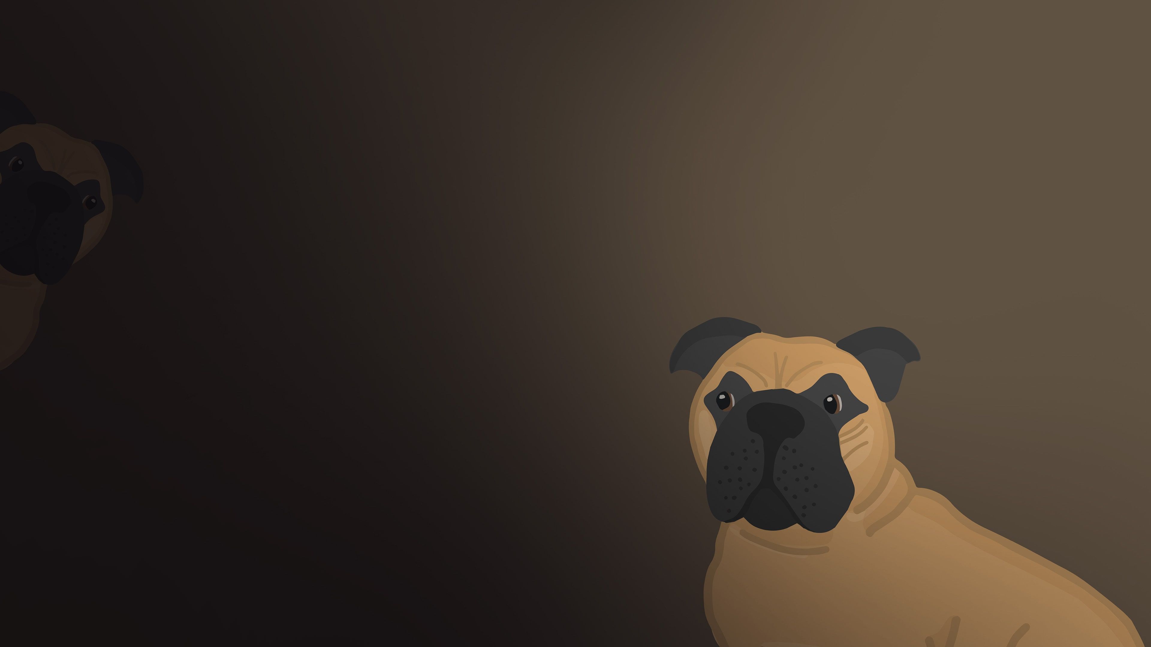 The Dog Quiz cover image