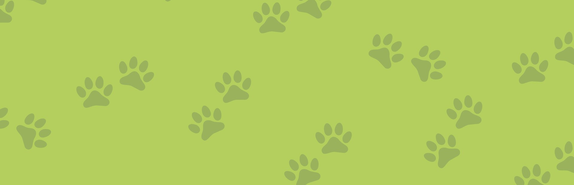 1001 Jigsaw. Cute Cats 3 cover image