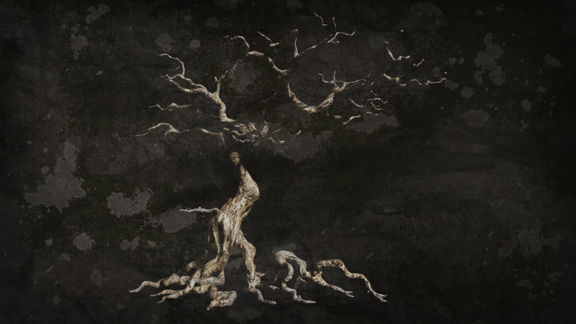 The Dead Tree of Ranchiuna cover image
