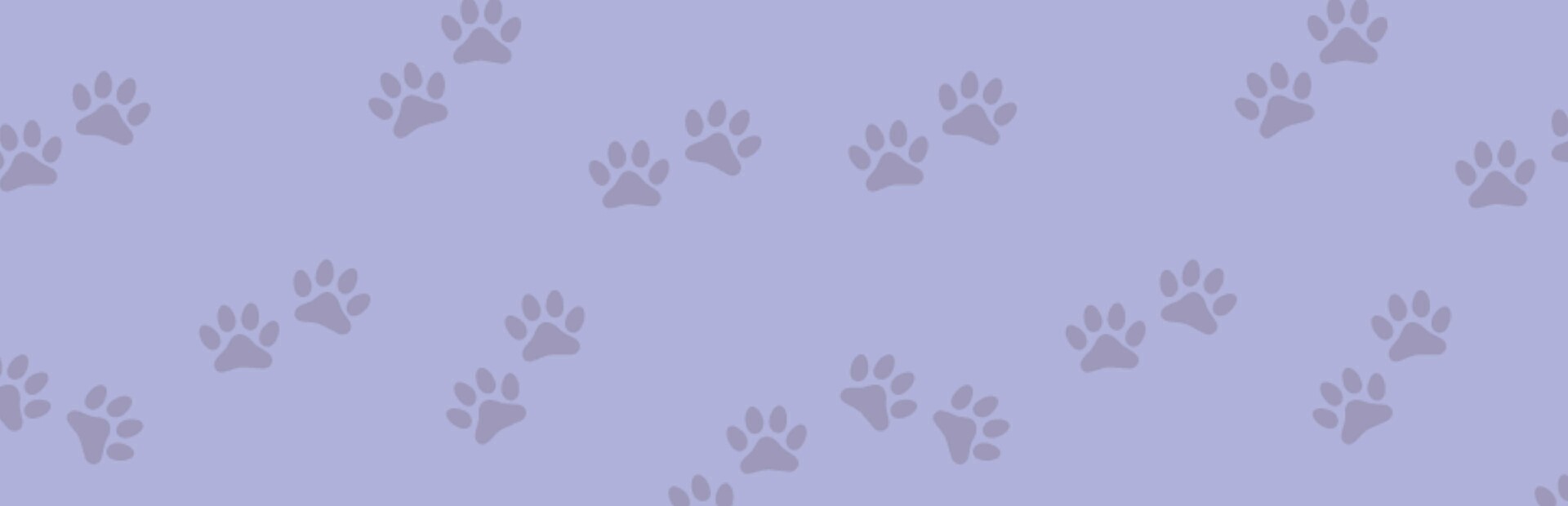 1001 Jigsaw. Cute Cats 4 cover image