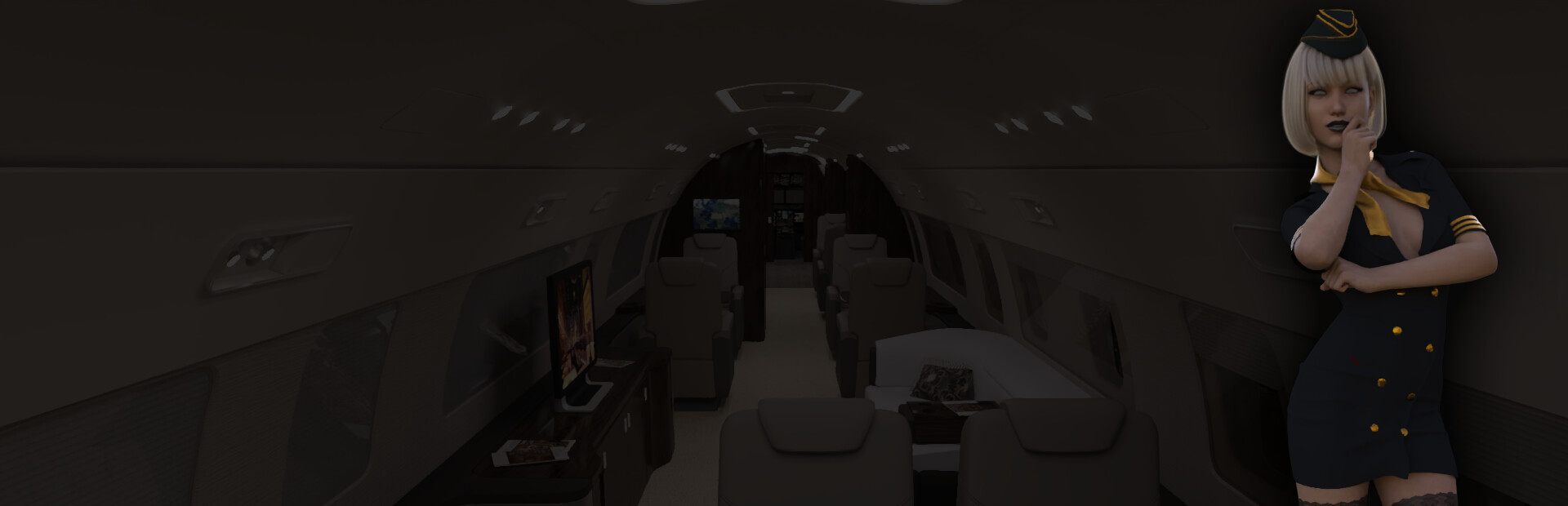 Sex Simulator - The Private Jet cover image