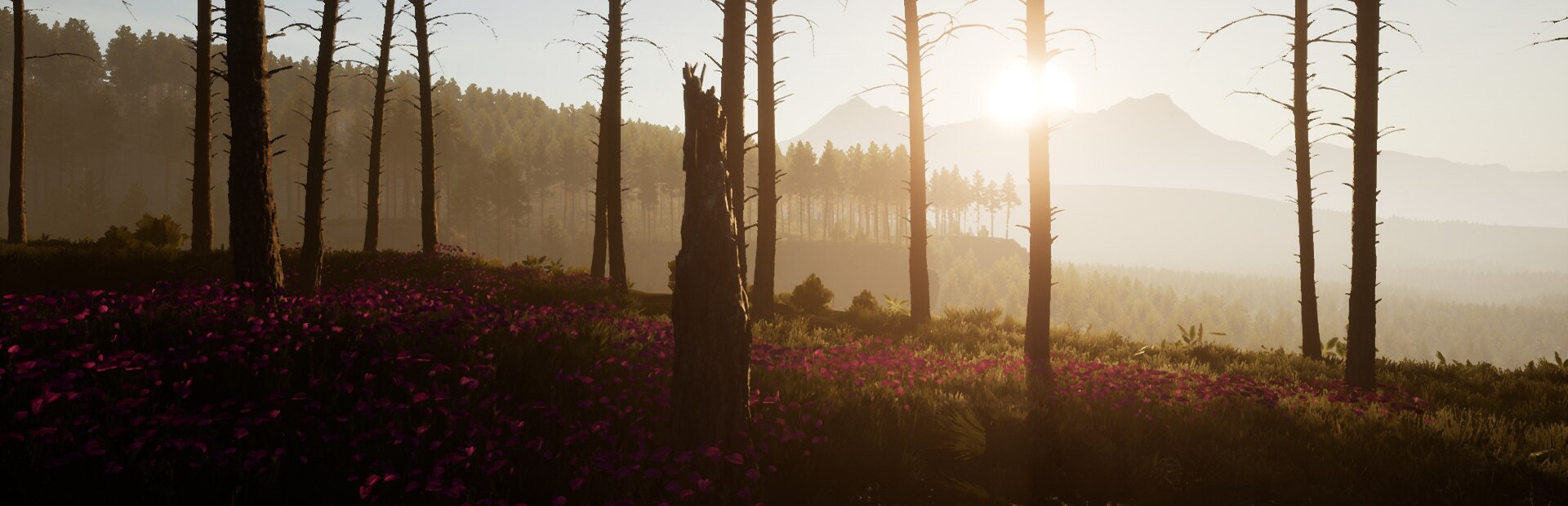 Dead District: Survival cover image
