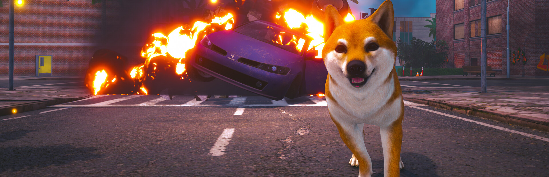 Doge Simulator cover image