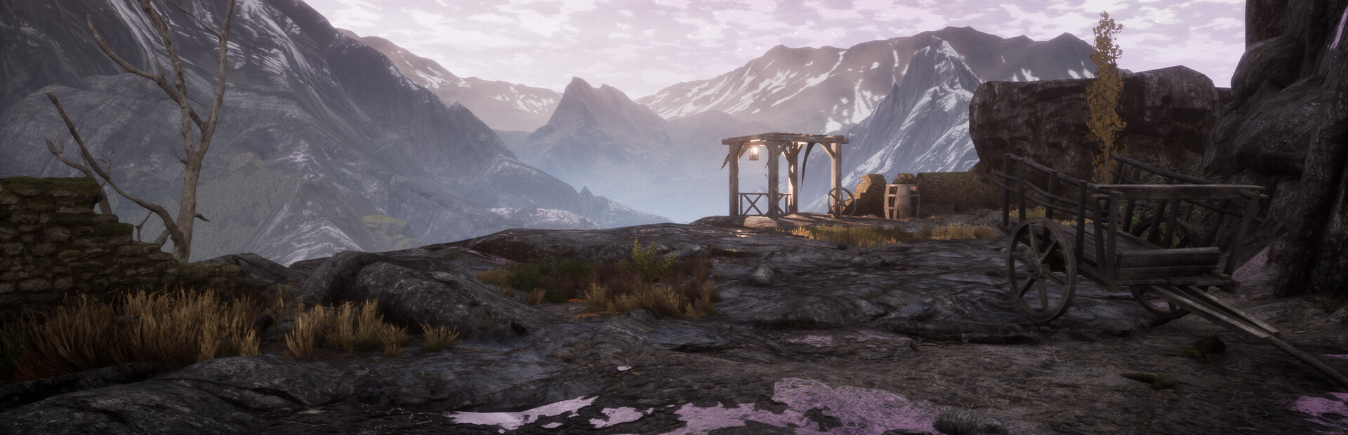 The Dead Tree of Ranchiuna cover image