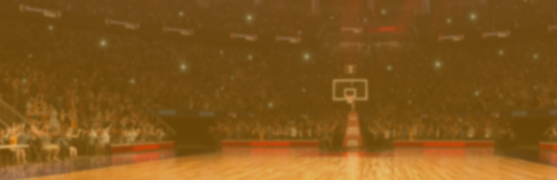 Draft Day Sports: Pro Basketball 2020 cover image
