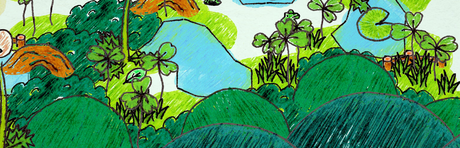 Frog's Adventure cover image