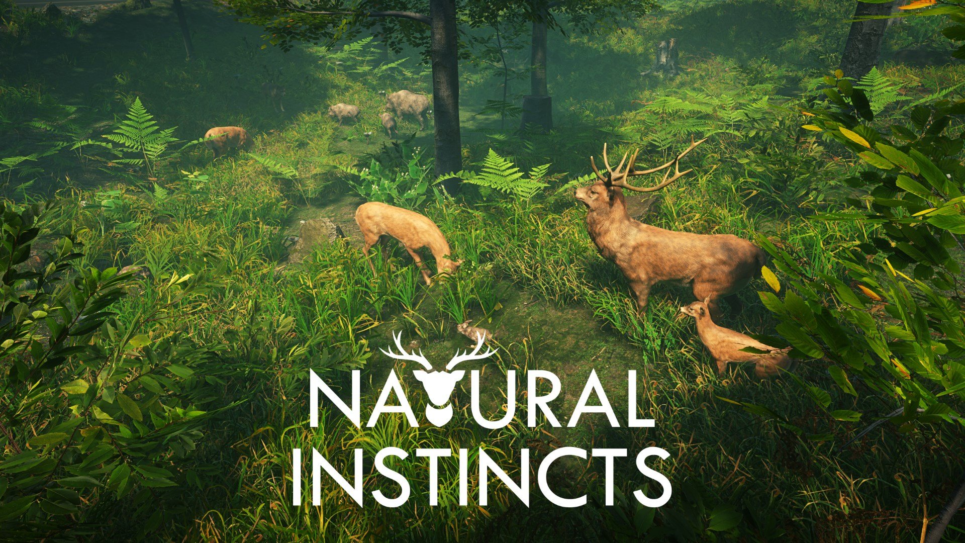Natural Instincts cover image