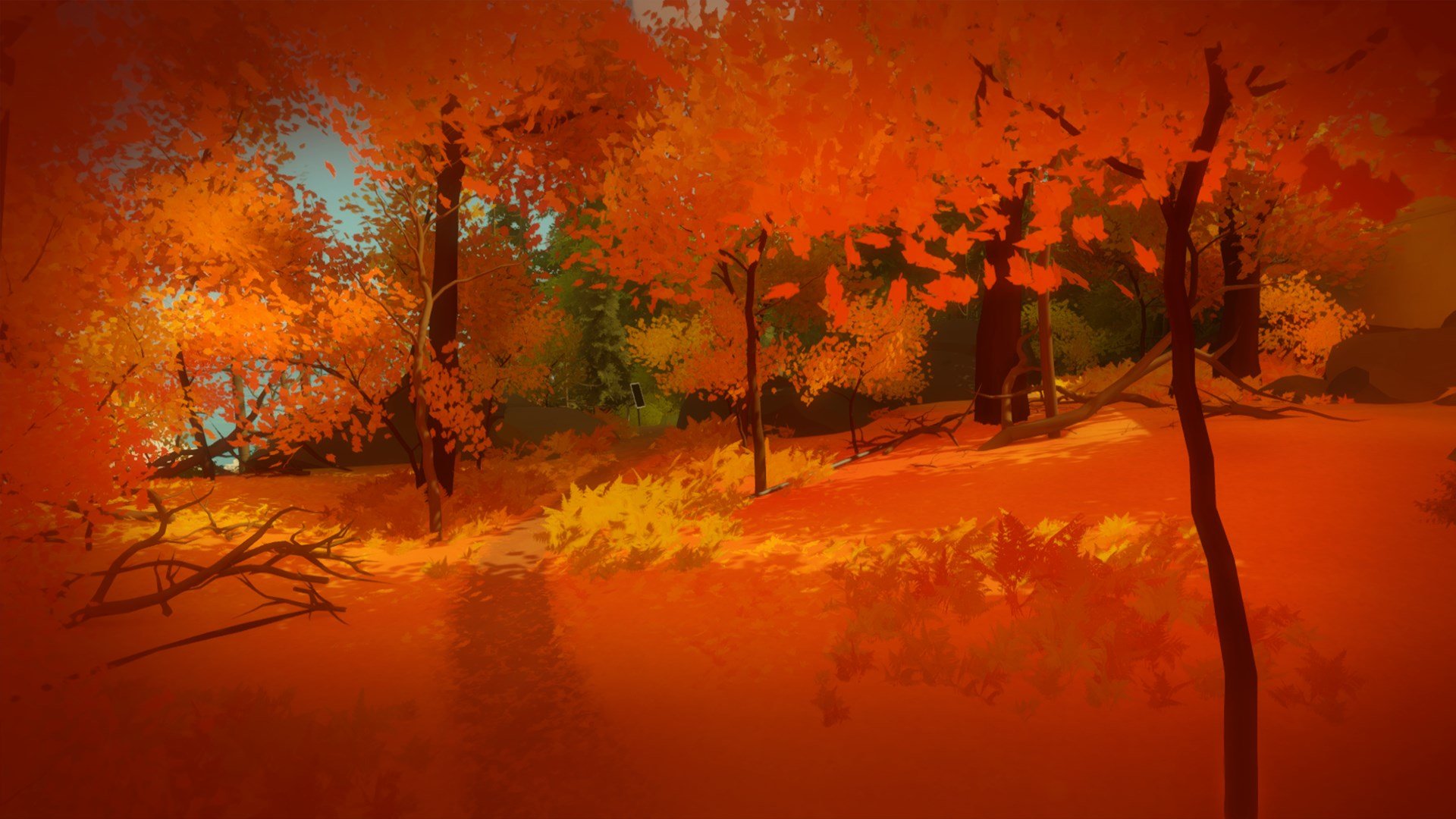 The Witness cover image
