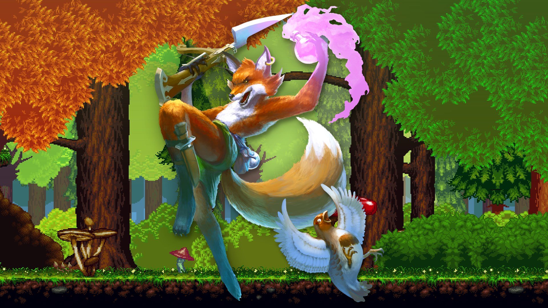 FOX n FORESTS cover image