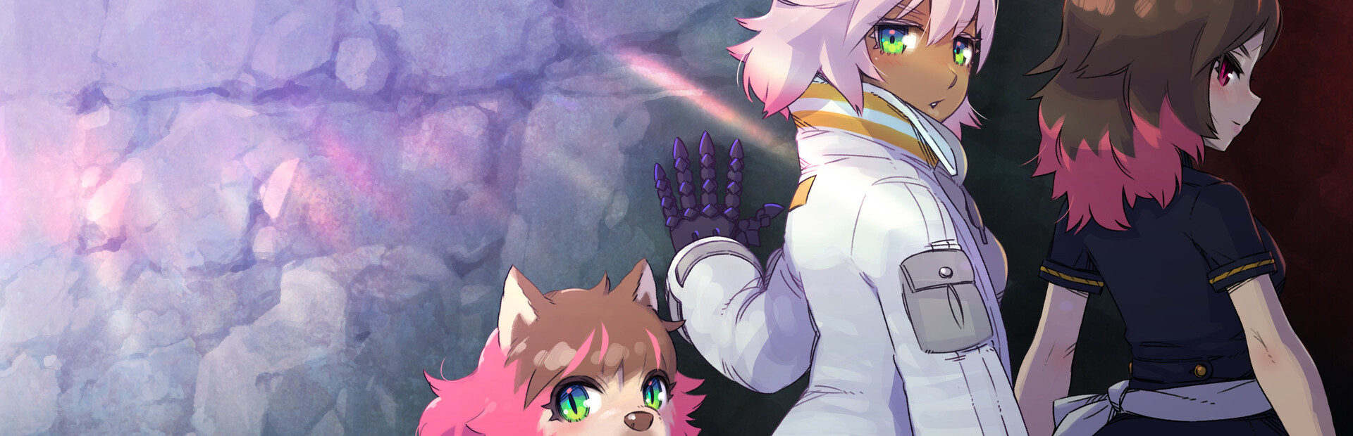 Doll Explorer cover image