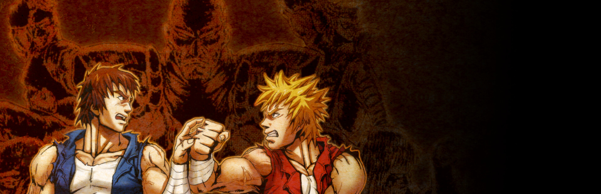 Double Dragon Advance cover image