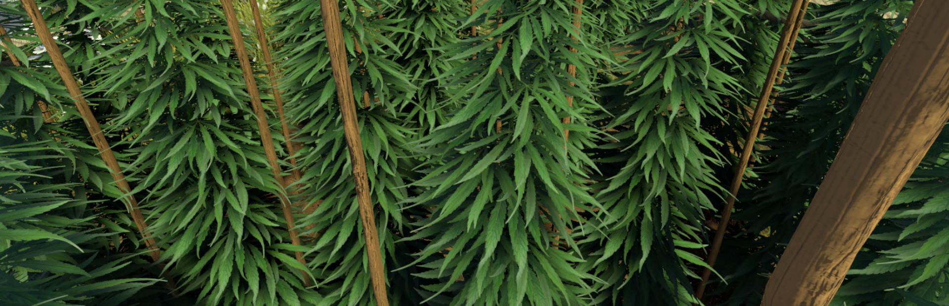 Weed Farmer Simulator cover image