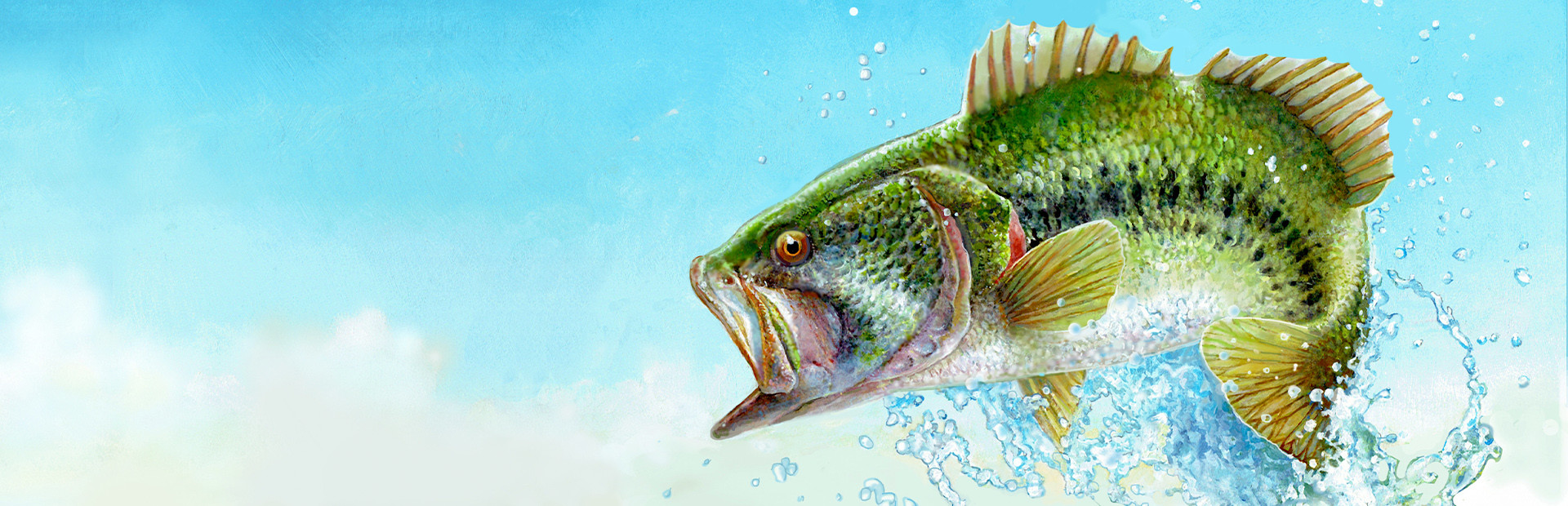 Fishing Sim World: Bass Pro Shops Edition cover image