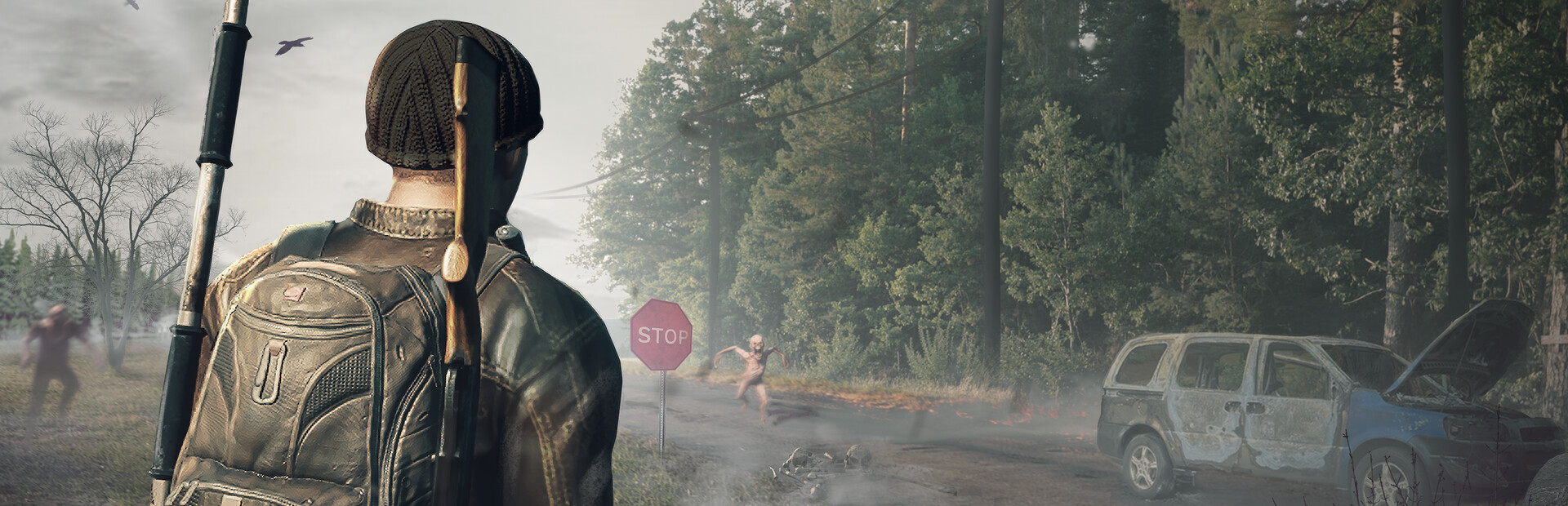 Lifeless cover image