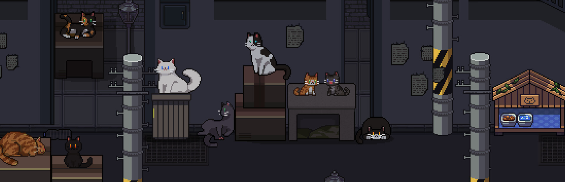 A Street Cat's Tale 2: Outside is Dangerous cover image