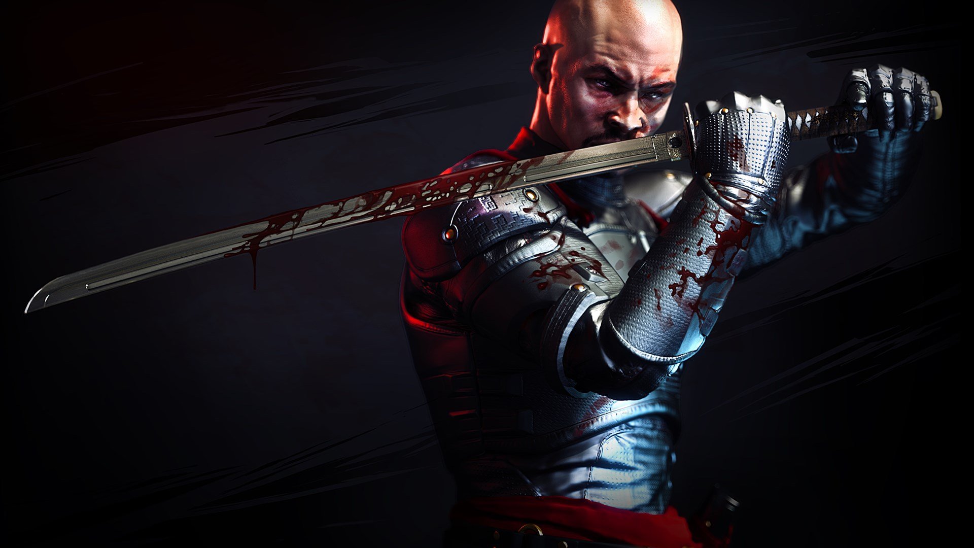 Shadow Warrior cover image