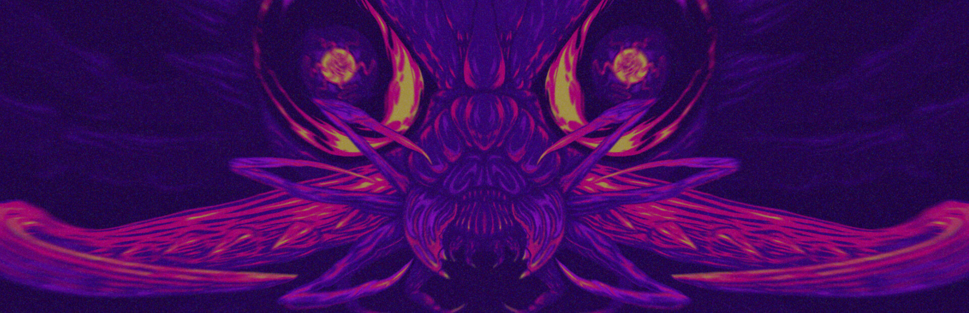 NIDUS cover image