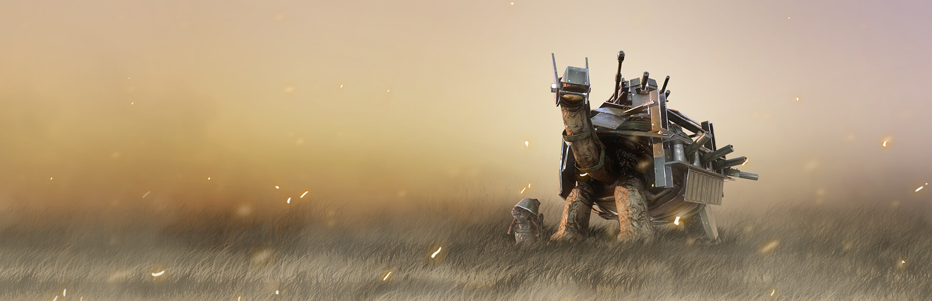 War Tortoise cover image