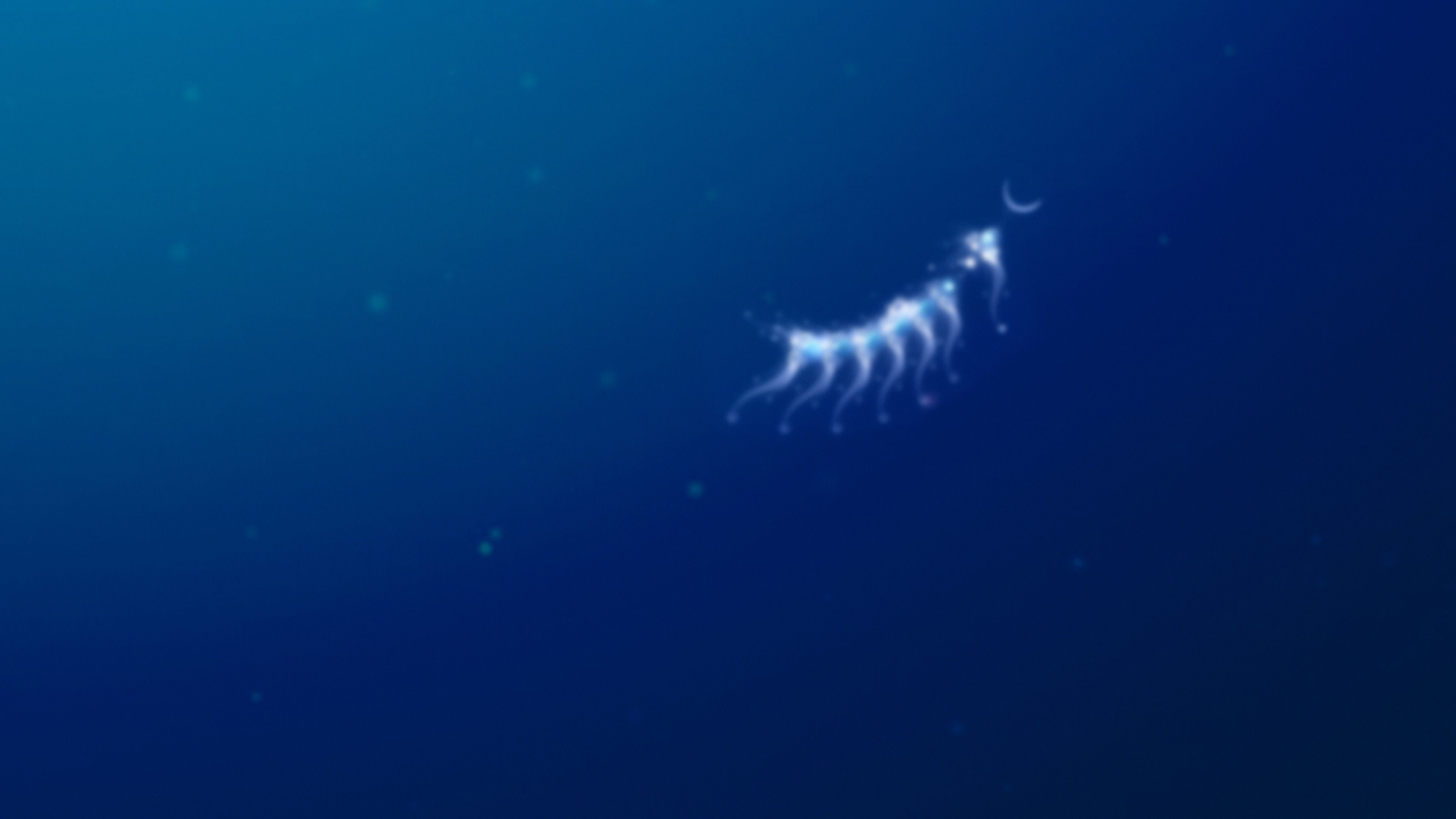 flOw cover image