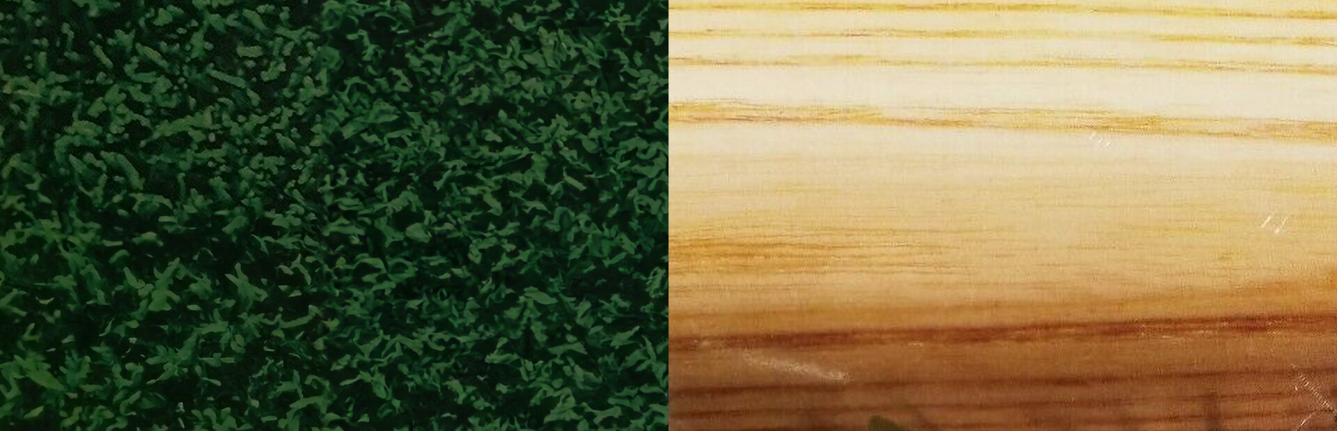 HardBall! + HardBall II cover image