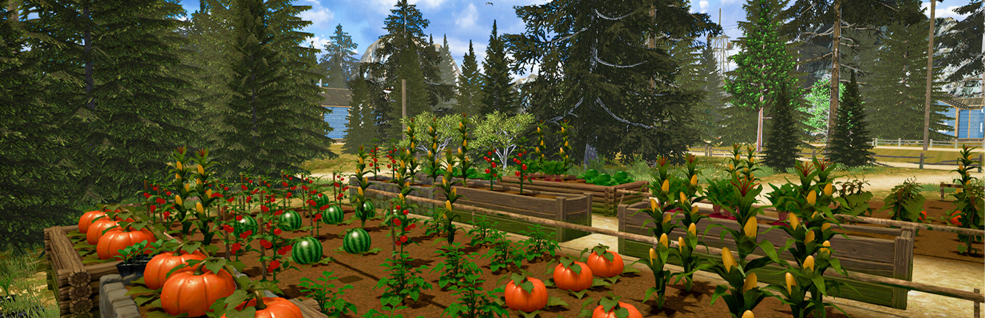 Countryside Life Simulator cover image
