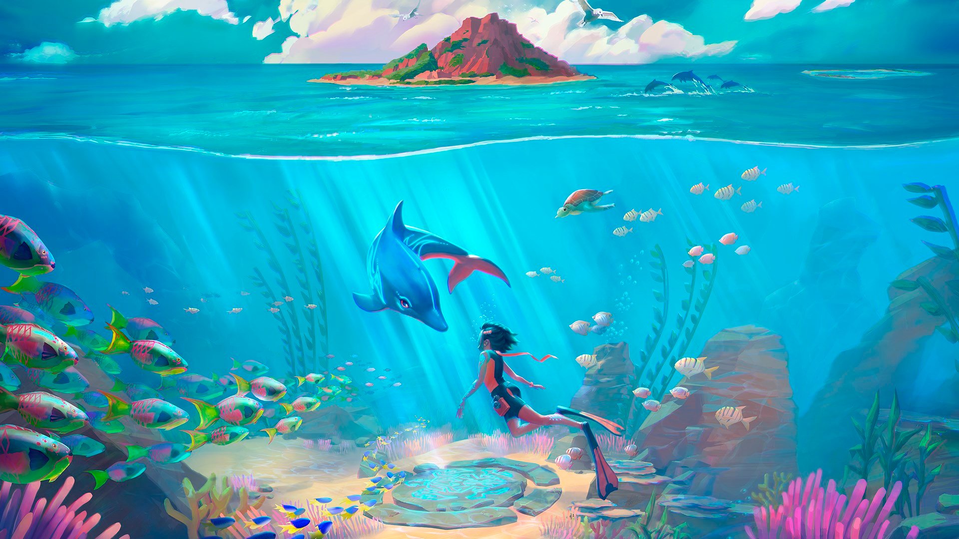 Dolphin Spirit cover image