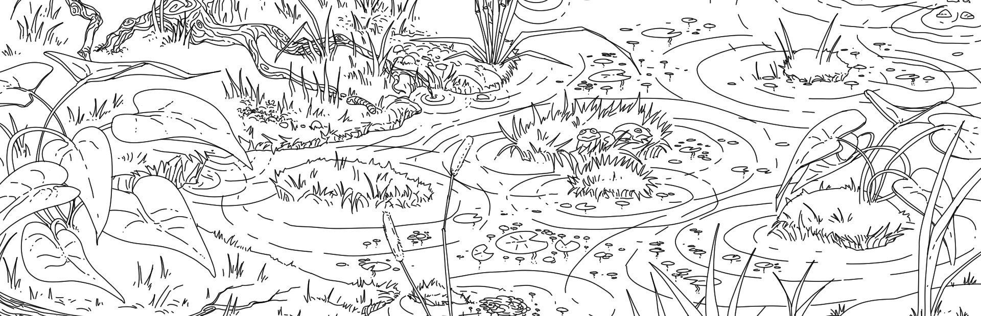 100 hidden mushrooms cover image