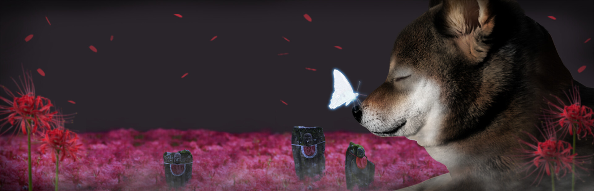 Tsugunohi -Pocky dog’s adventure- cover image