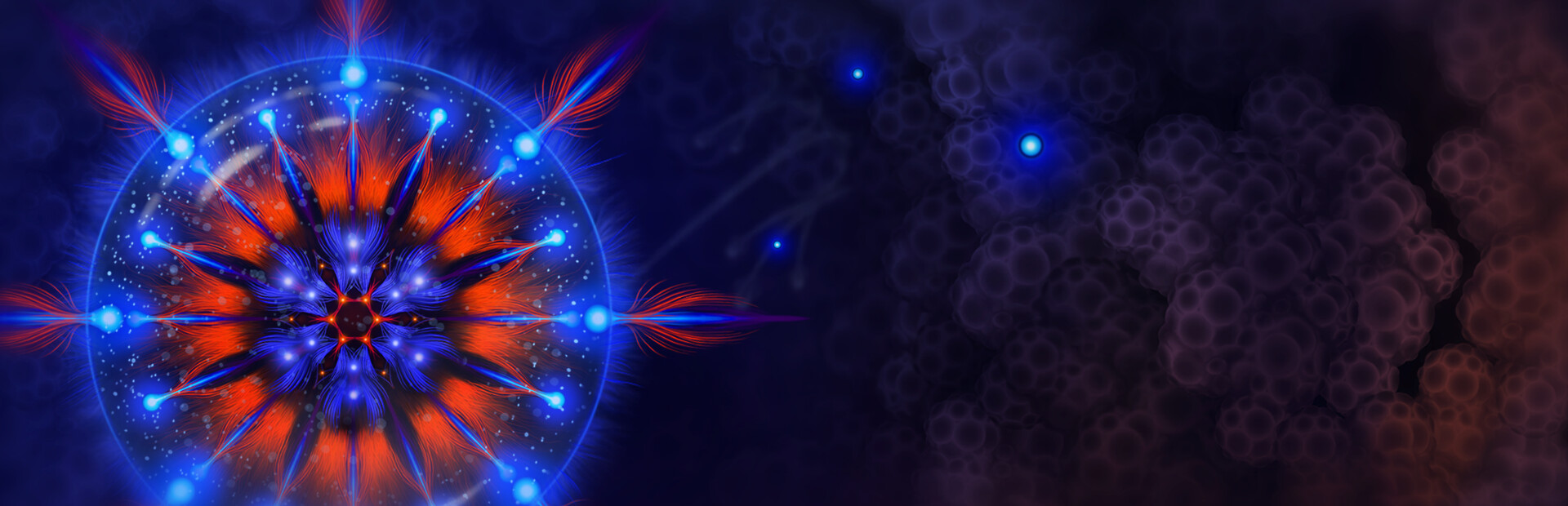 Microcosmum 2 cover image