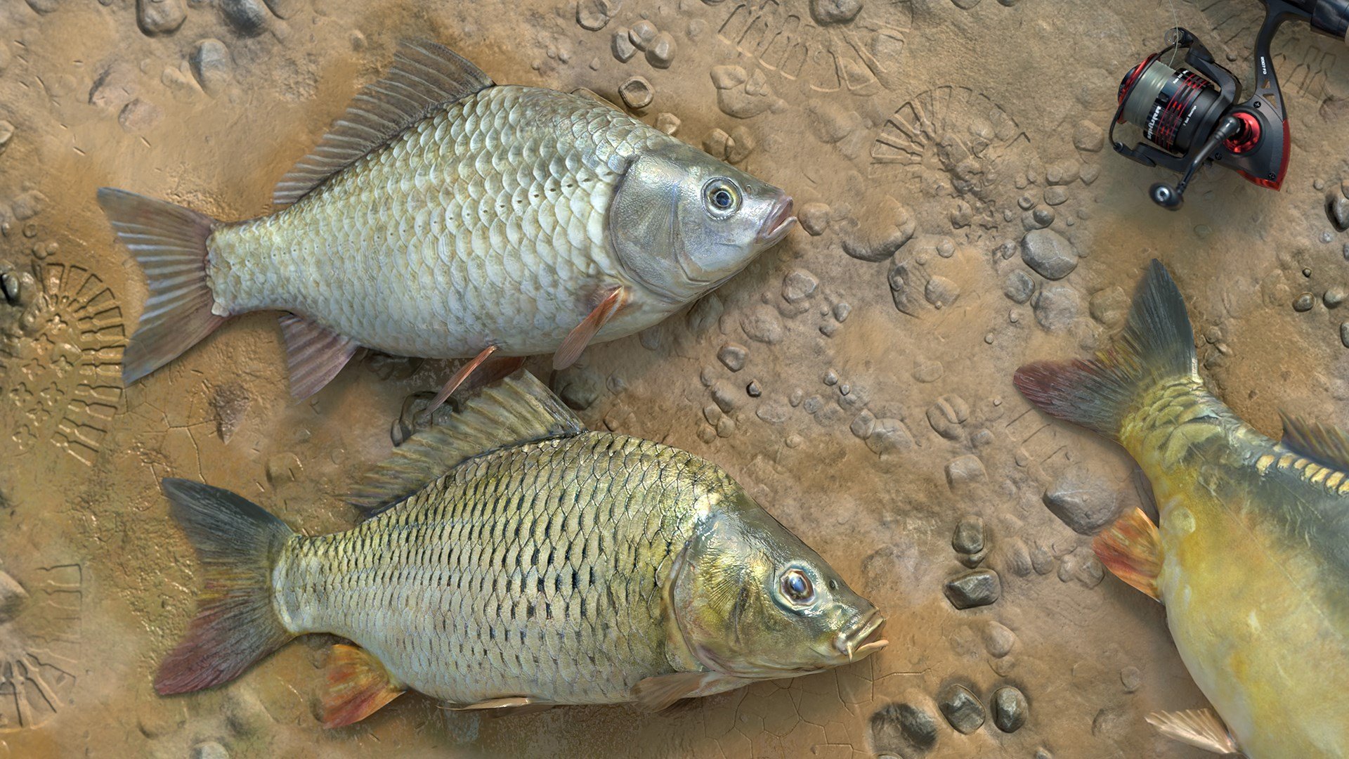 Fishing Adventure cover image
