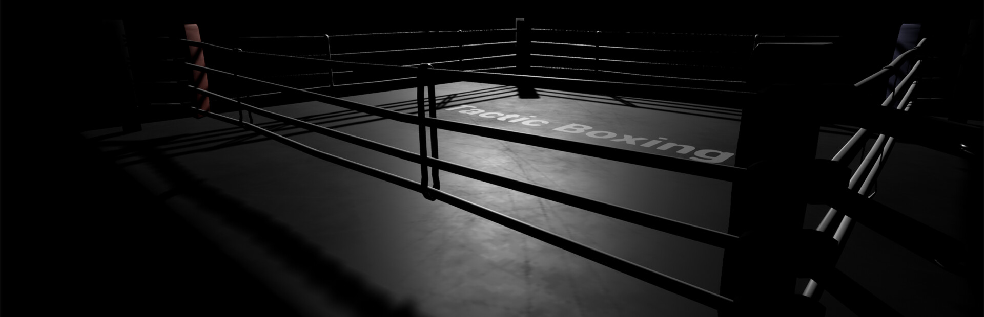 Tactic Boxing cover image
