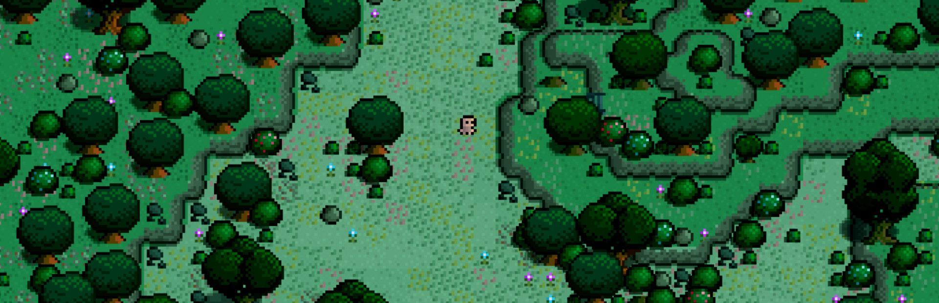 Newcomer : A Language Learning RPG cover image