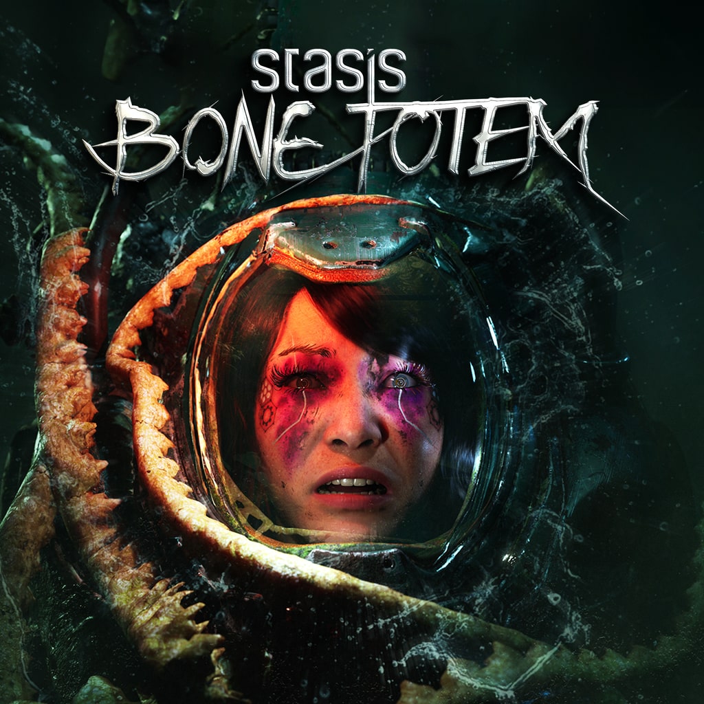 Boxart for Stasis Bone Totem