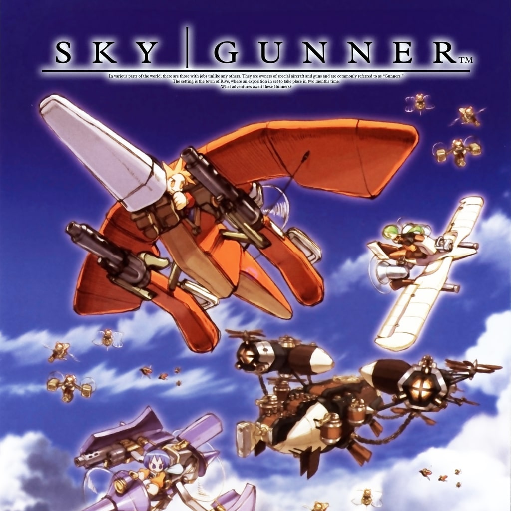 Boxart for SkyGunner