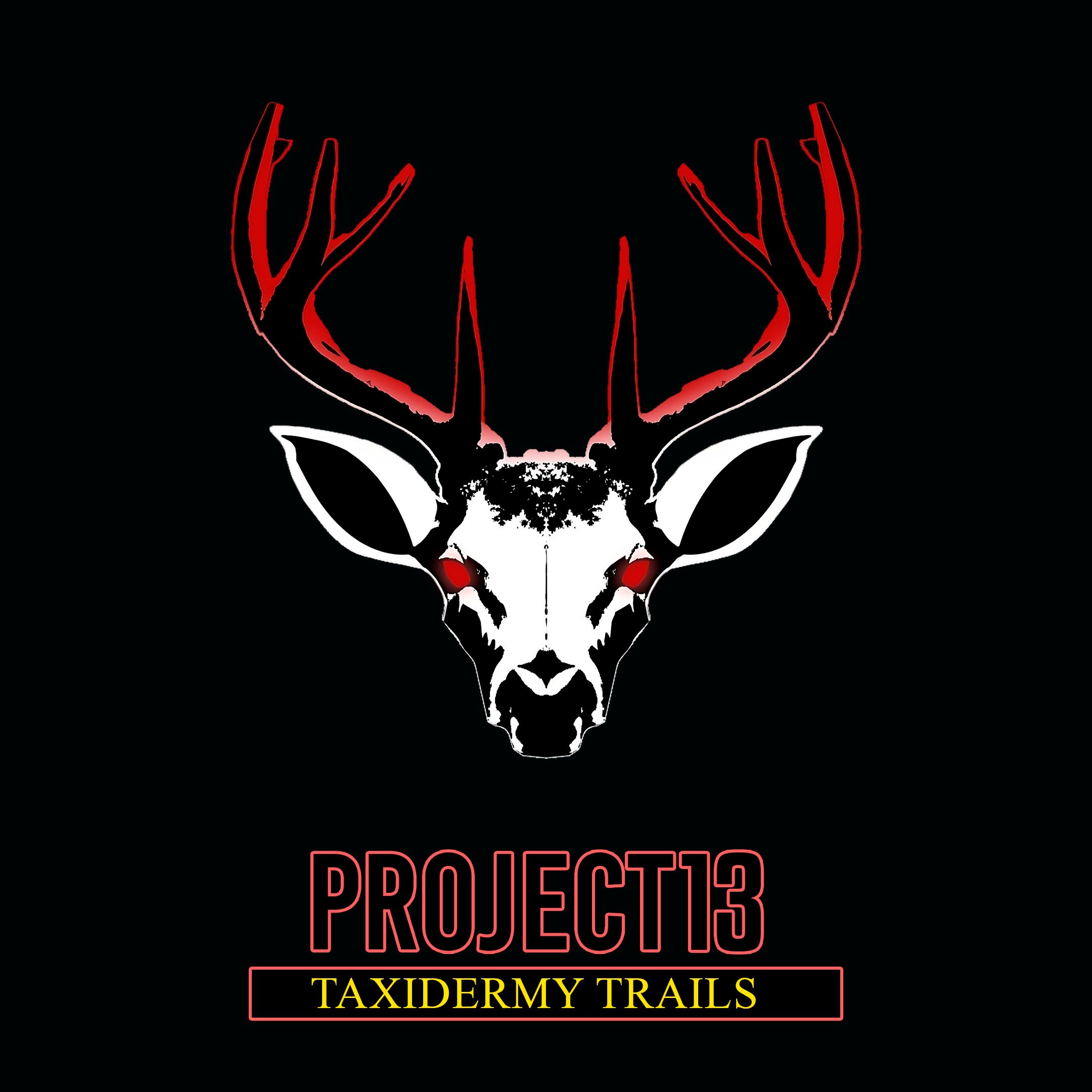 Project 13: Taxidermy