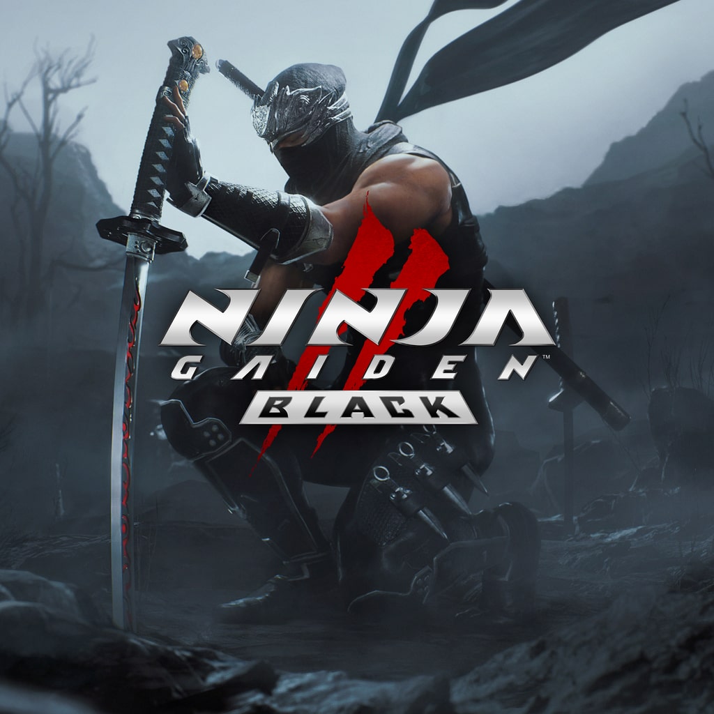 Boxart for NINJA GAIDEN 2 Black