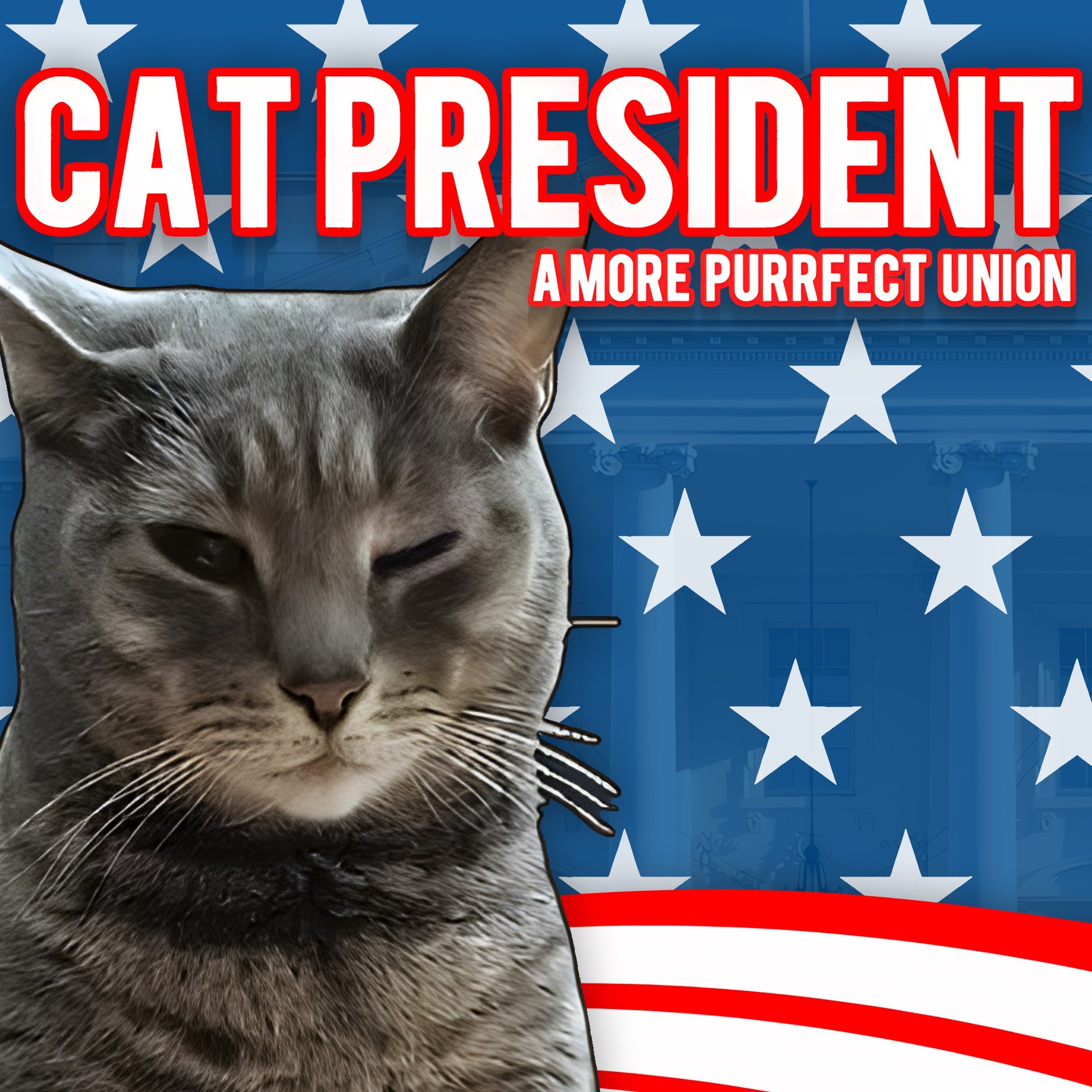 Cat President: A More Purrfect Union