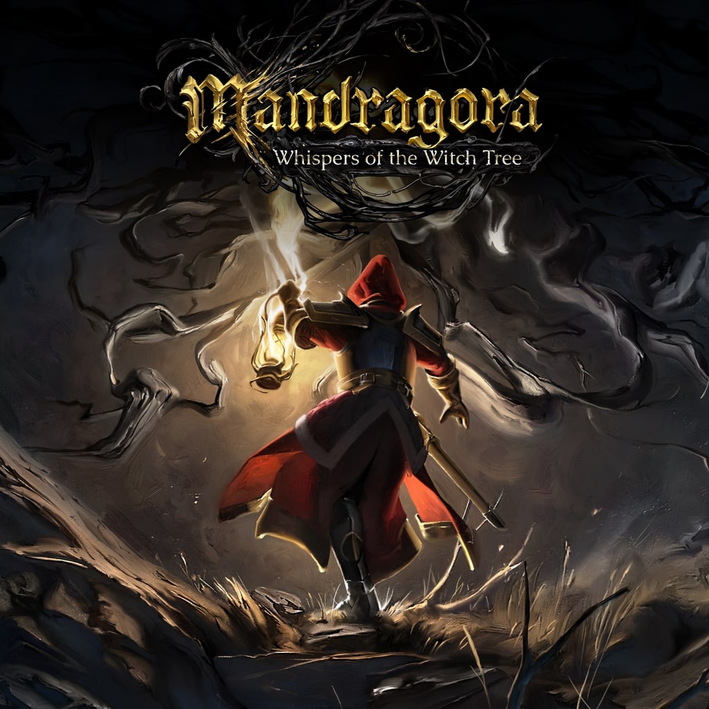 Mandragora