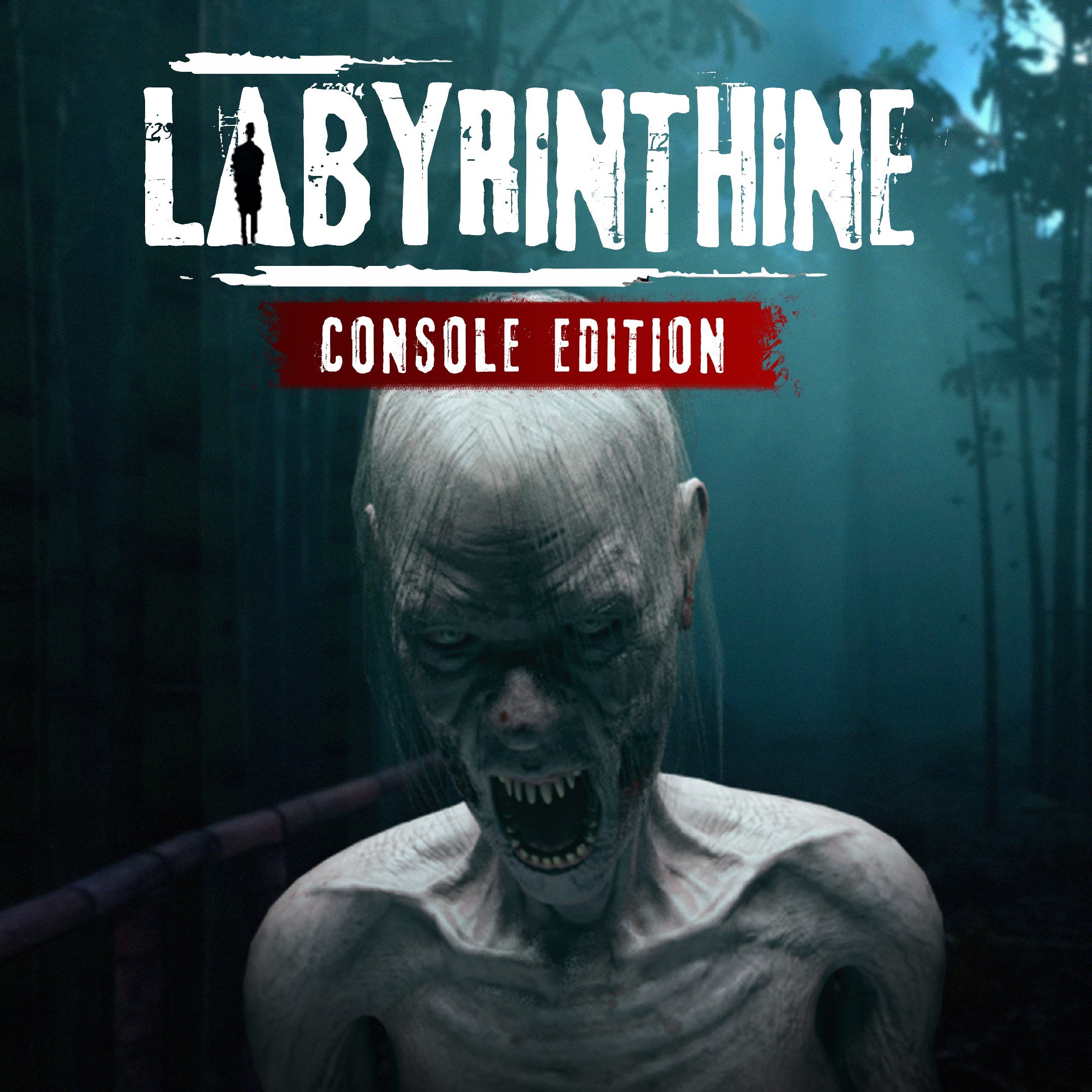 Boxart for Labyrinthine - Console edition