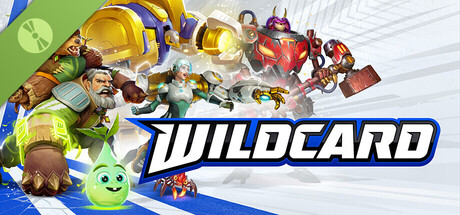 Wildcard Demo