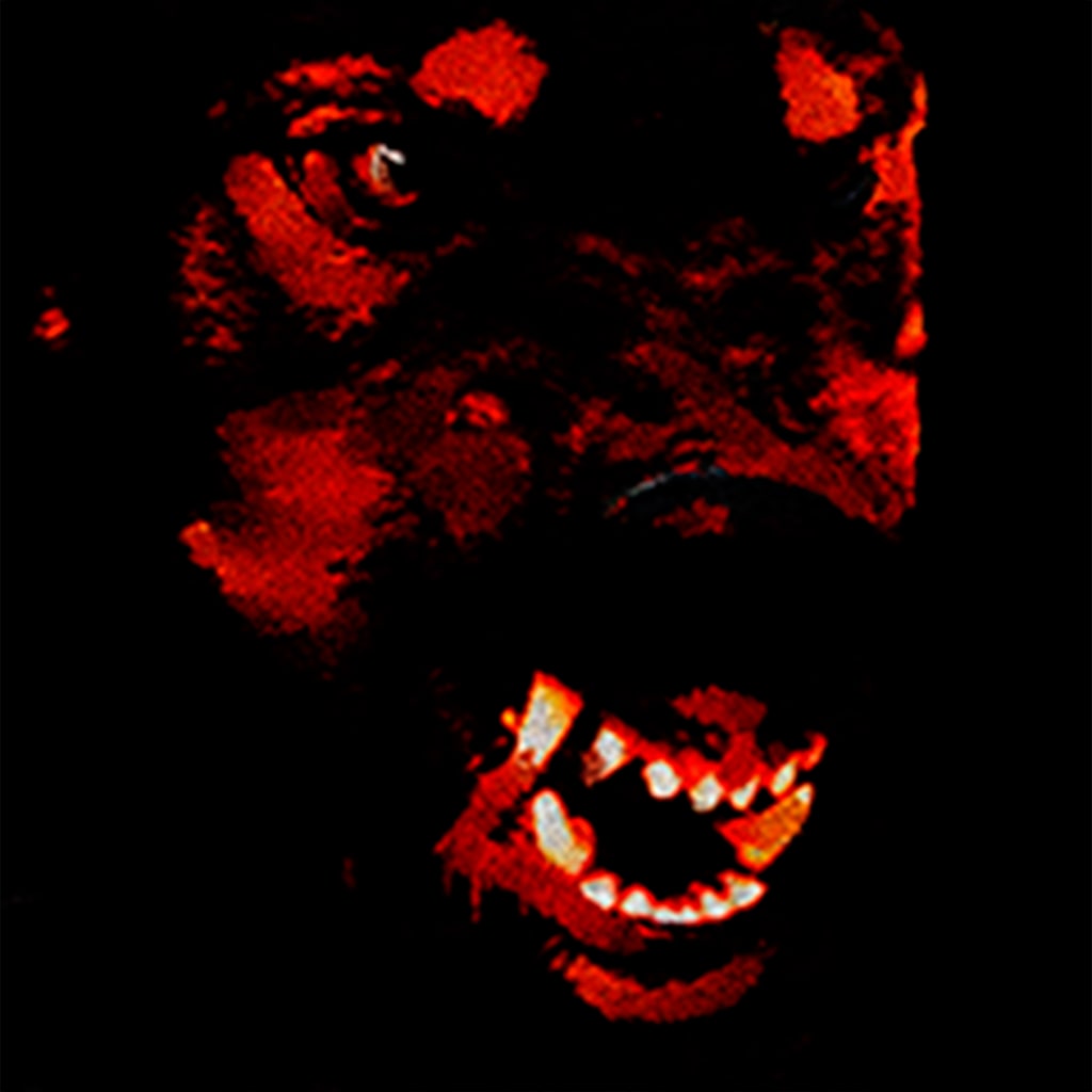 Boxart for Canine