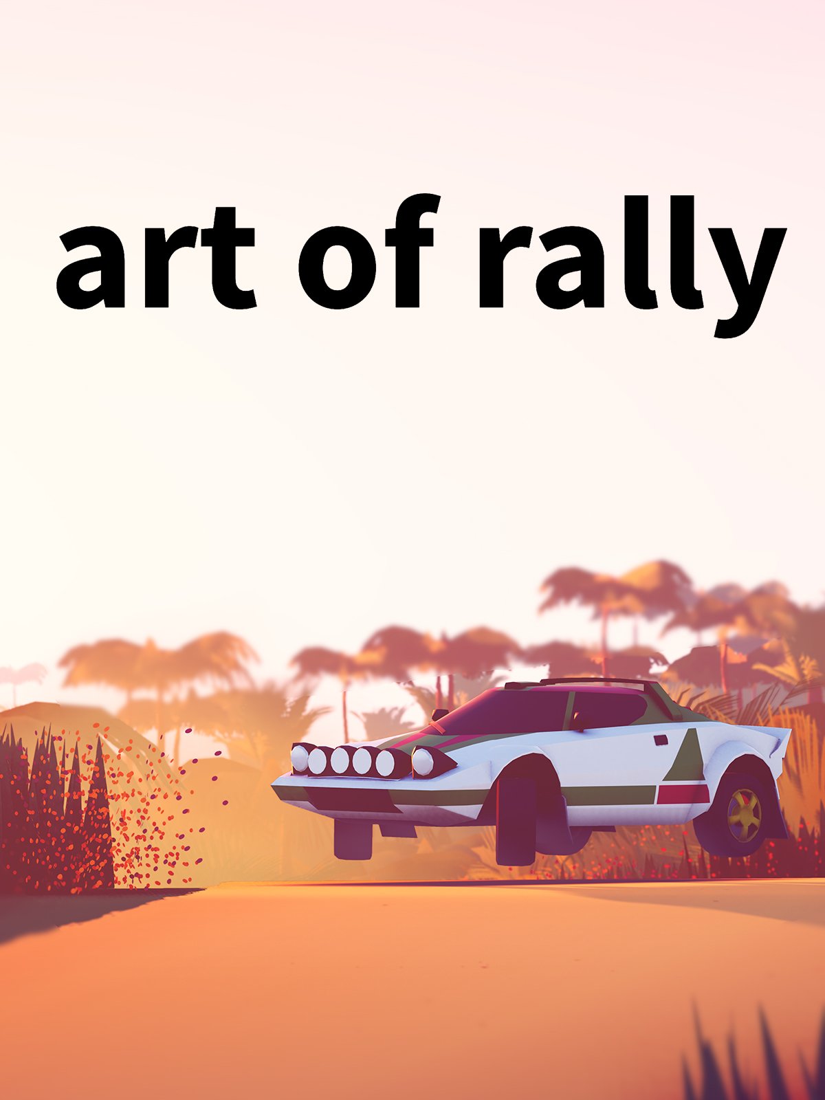 art of rally