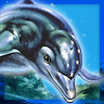 Ecco the Dolphin