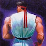 Street Fighter II: The World Warrior