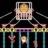 Donkey Kong Junior