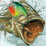 Rapala Pro Fishing