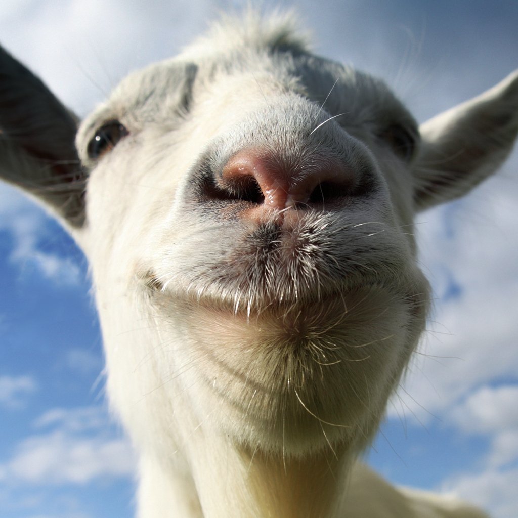 Boxart for Goat Simulator
