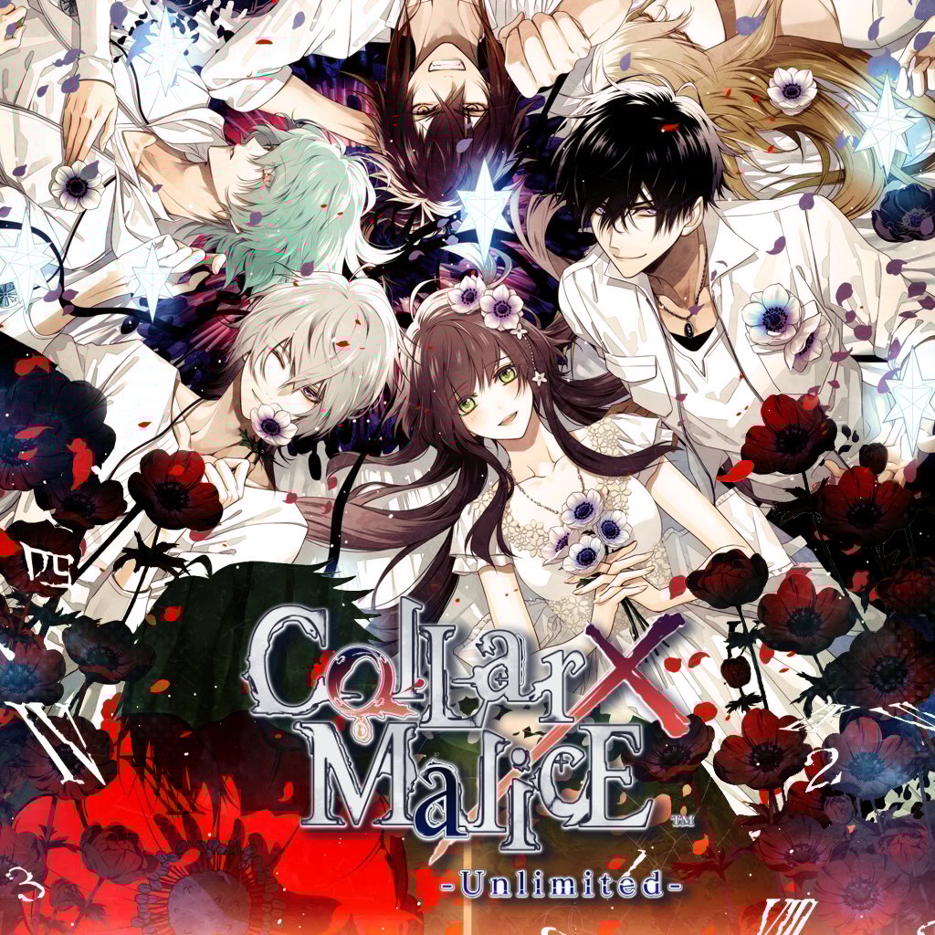 Boxart for Collar×Malice -Unlimited-