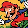Donkey Kong Junior
