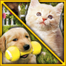 Boxart for Petz: Catz 2 | Petz: Dogz 2